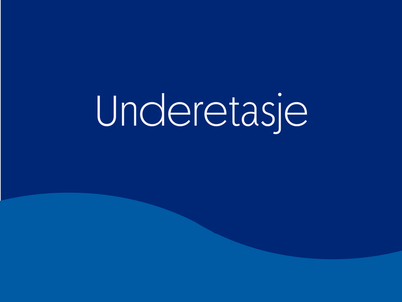 Velkommen til en innholdsrik underetasje. Galleribilde