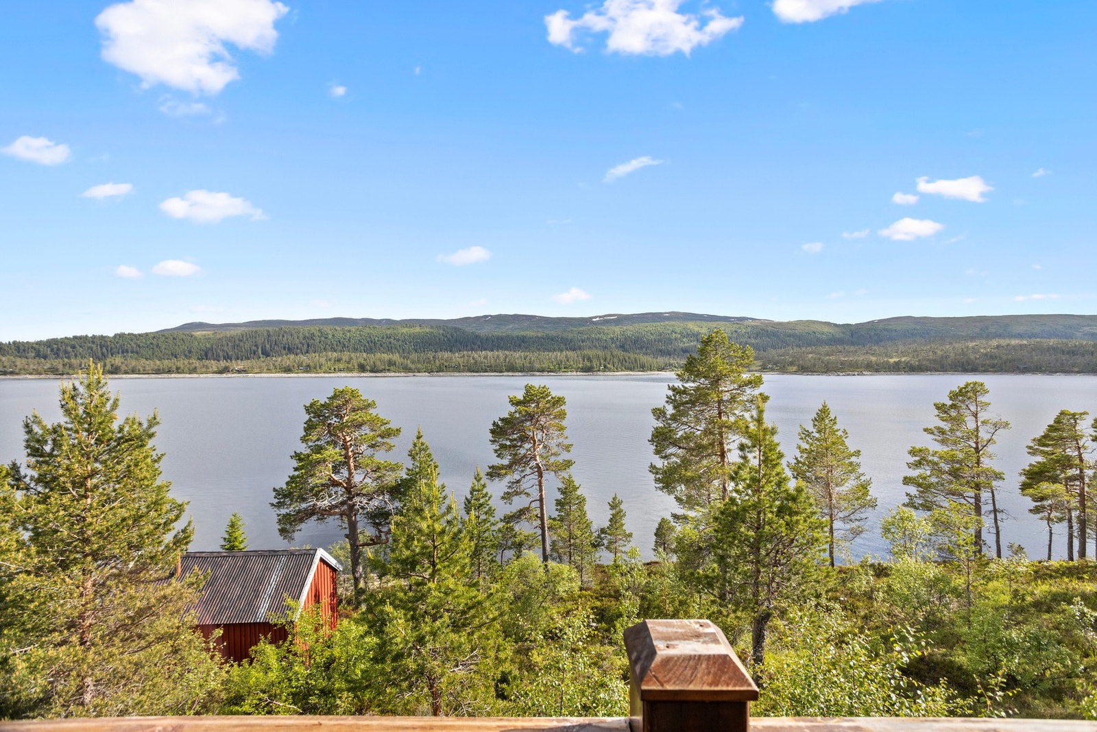 Fantastisk utsikt! Galleribilde