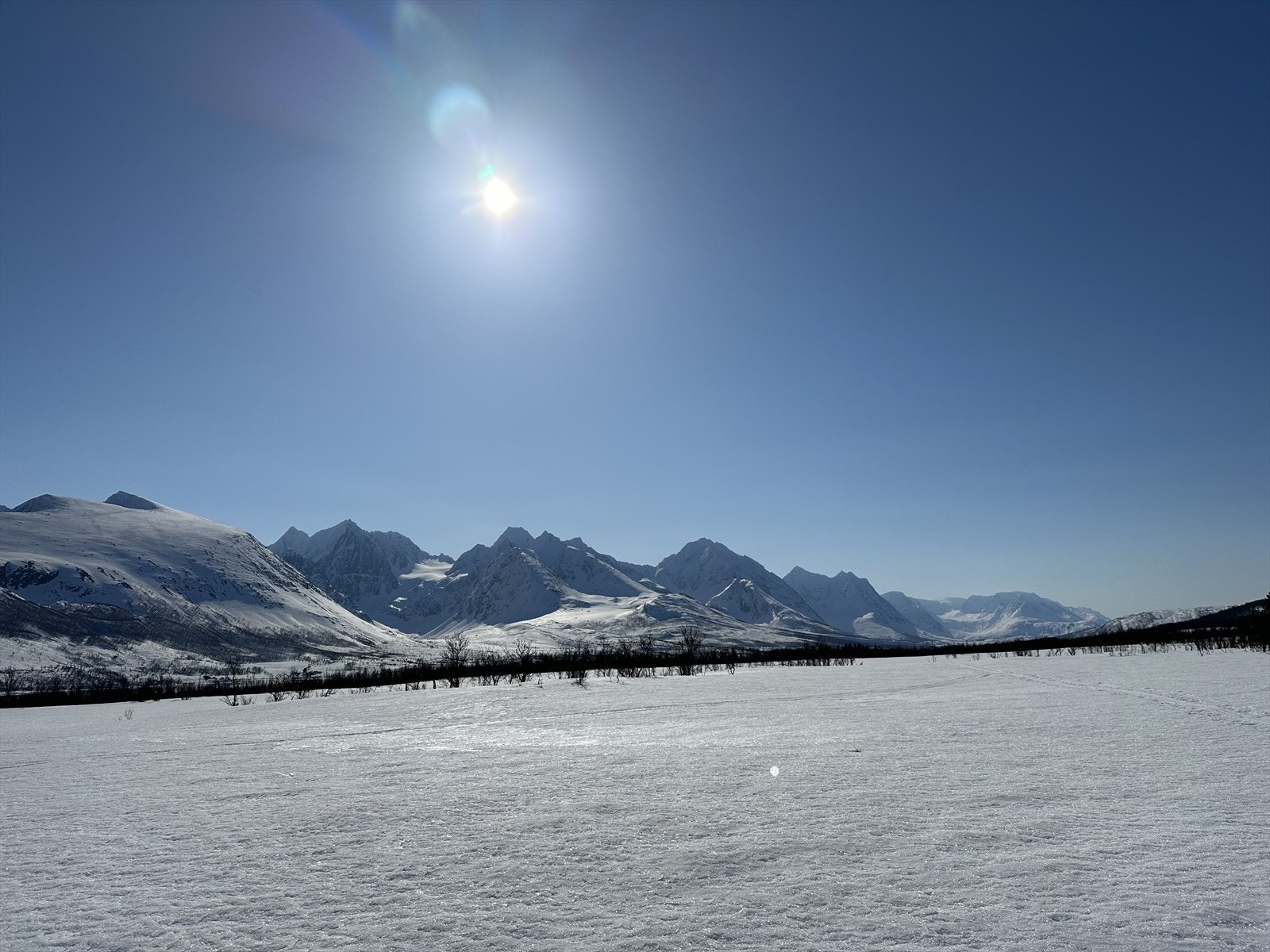 Selgers bilder Galleribilde