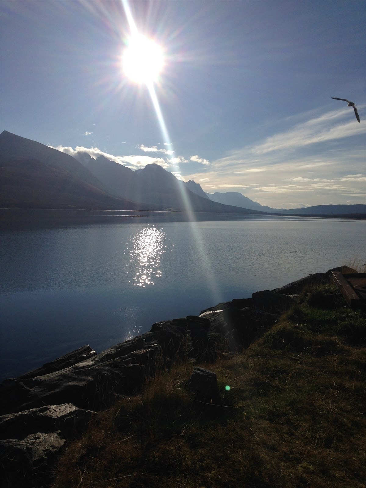 En liten smakebit av det Lyngen kan by på Galleribilde