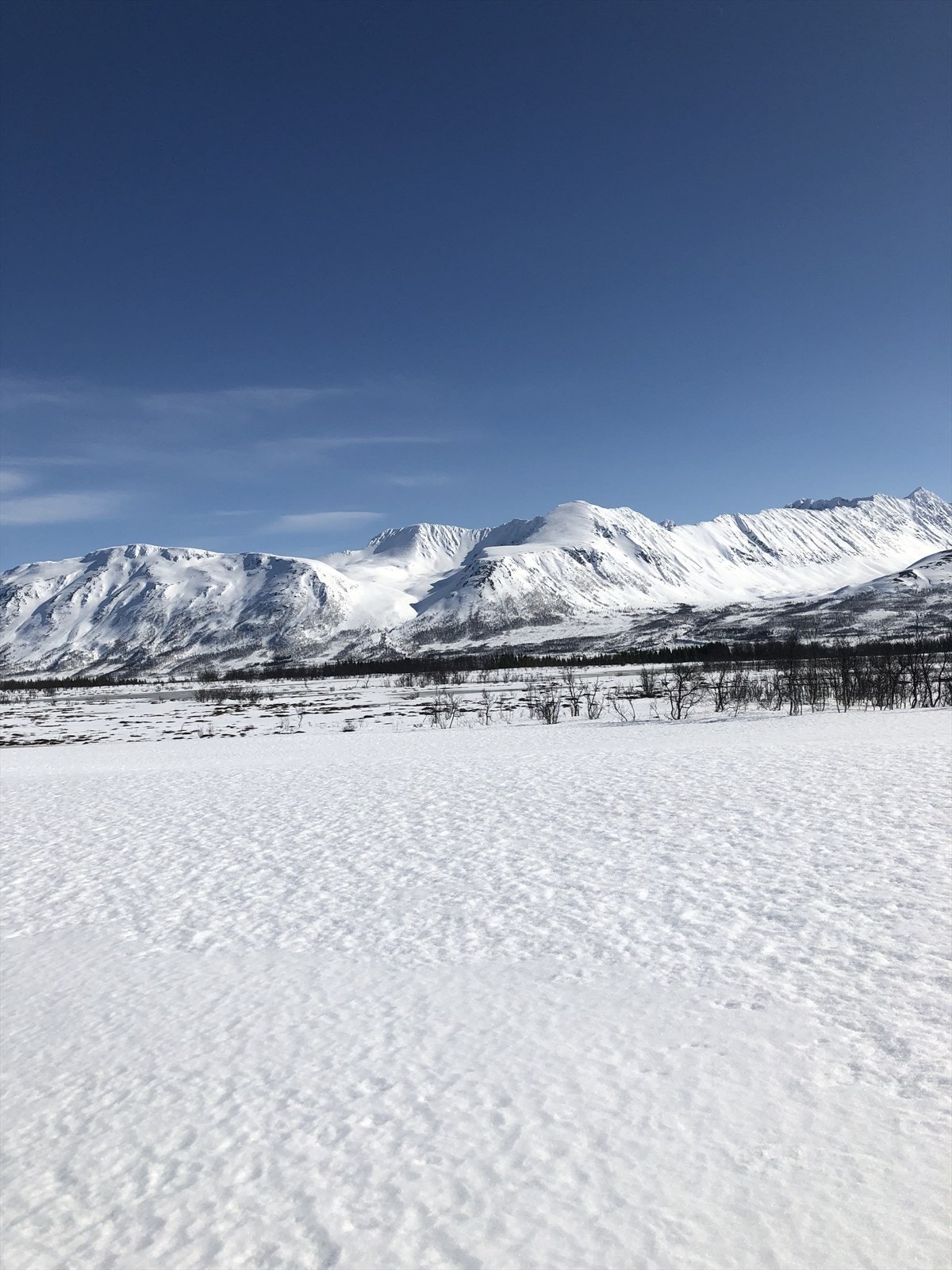 Selgers bilder Galleribilde