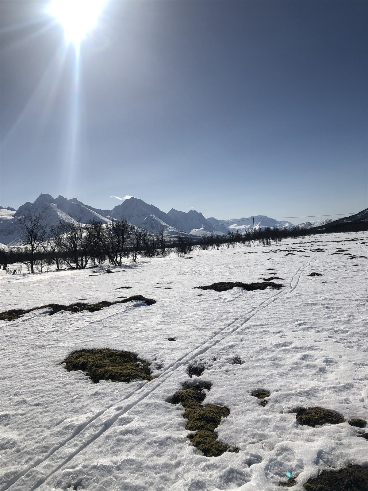 Selgers bilder Galleribilde