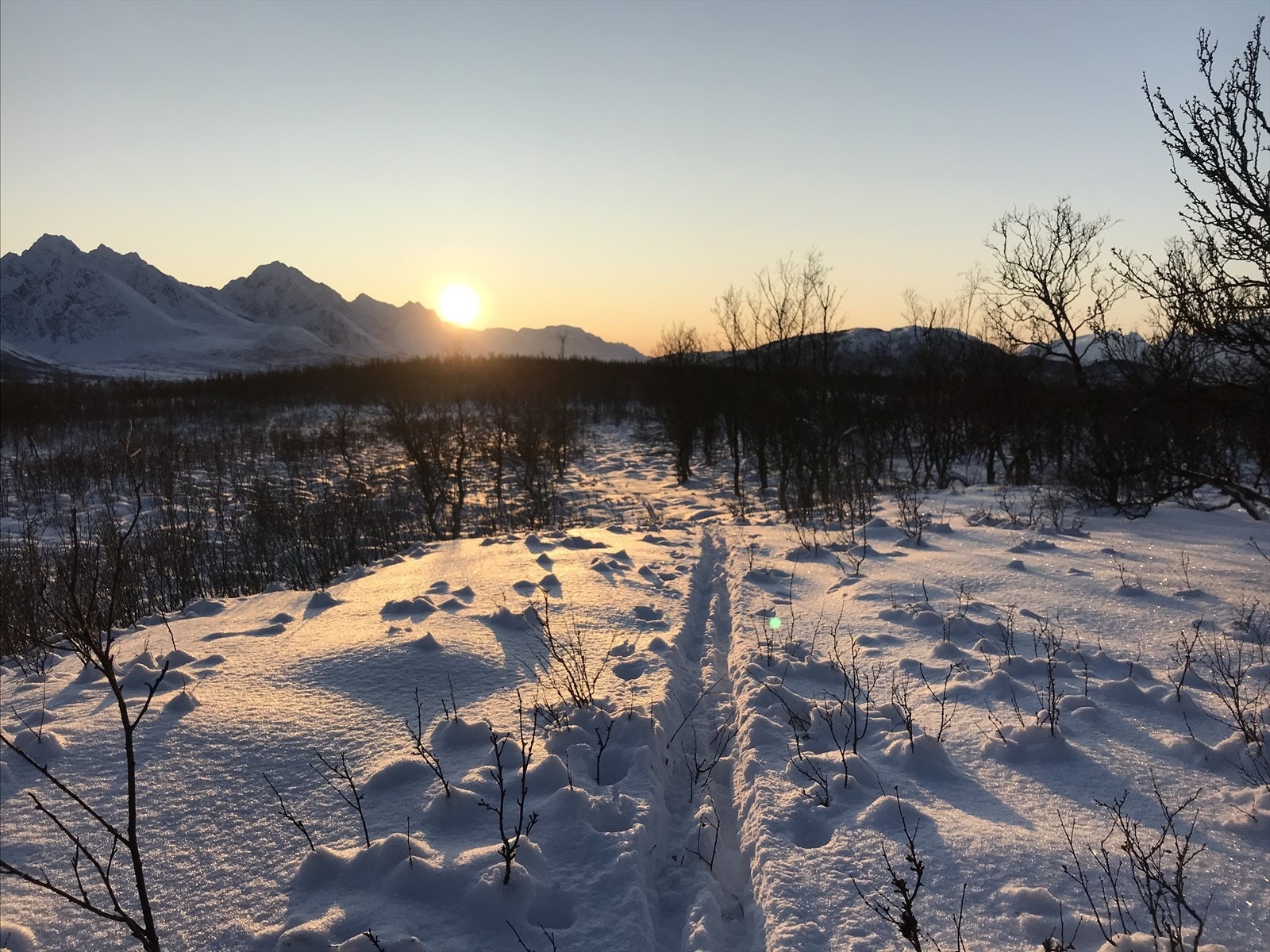 En liten smakebit av det Lyngen kan by på Galleribilde