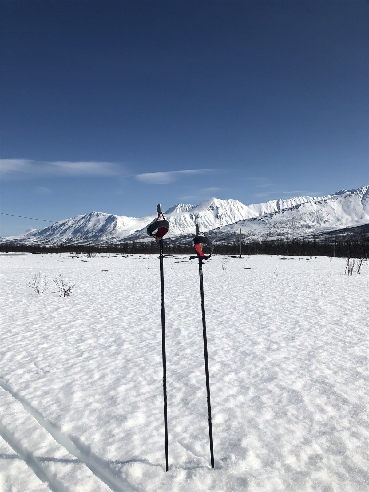 Selgers bilder Galleribilde