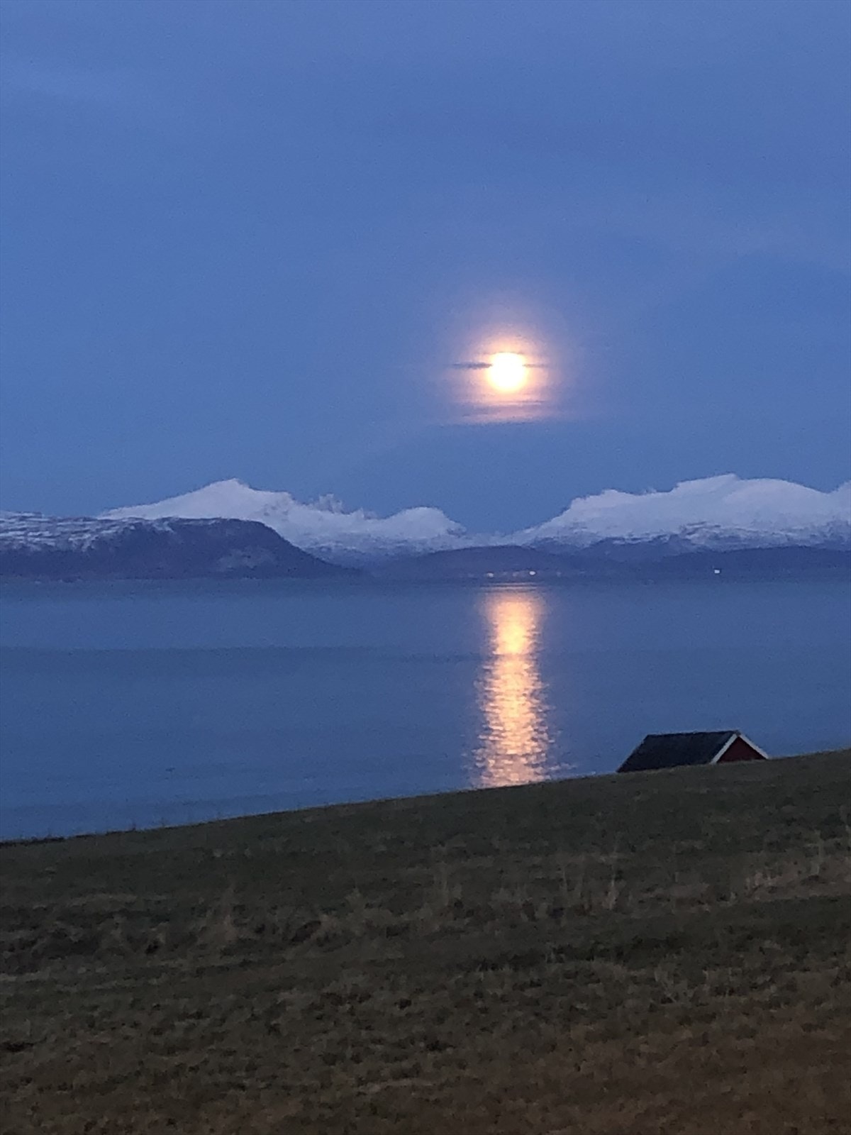 Selgers bilder Galleribilde