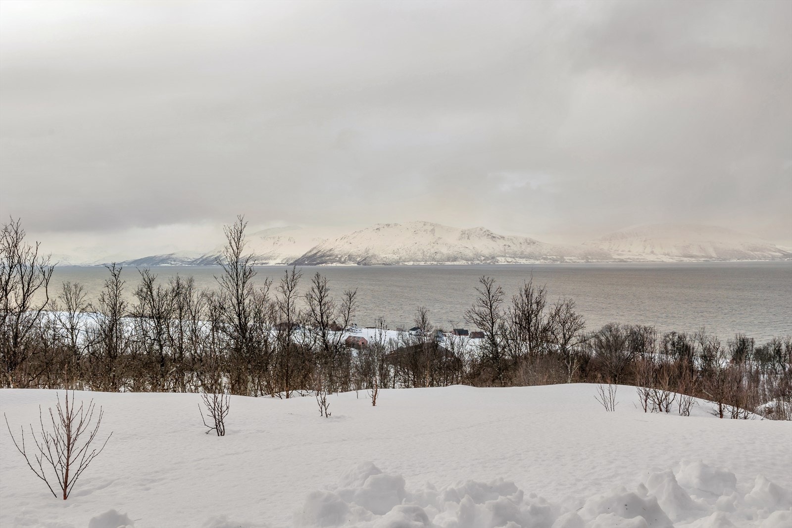 Utsikt også vestover mot innseilingen til Tromsø fra nord Galleribilde