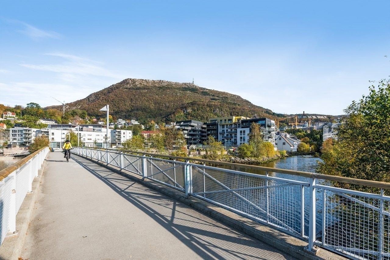 Den populære turløypen langs Store Lungegårdsvann bringer deg til sentrum på få minutter. Galleribilde