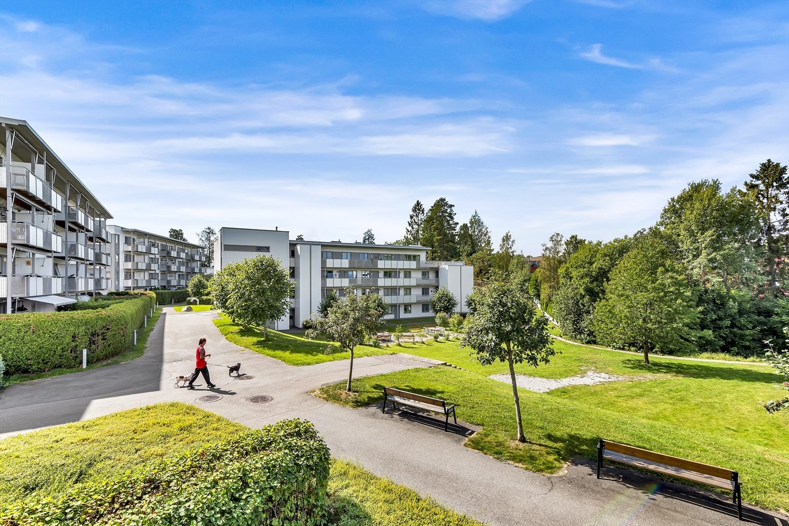 Pene opparbeidet fellesarealer. Galleribilde