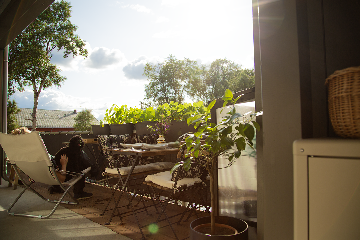 Selgers egne bilder av uteplassen ved inngangspartiet. Galleribilde