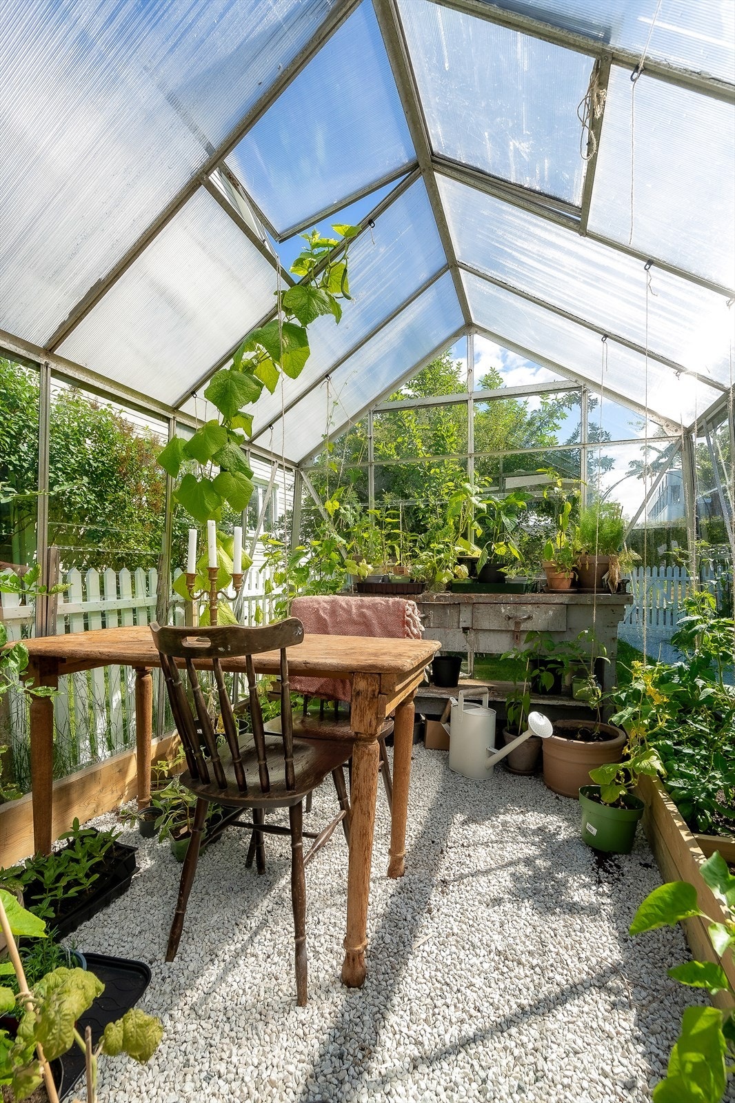 Gode solforhold for drivhuset Galleribilde