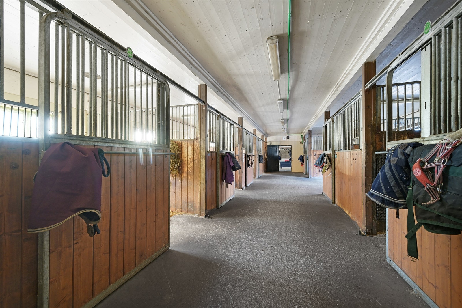 Her er det innredet med 12 stk. stallbokser, for-lager og salrom. Galleribilde