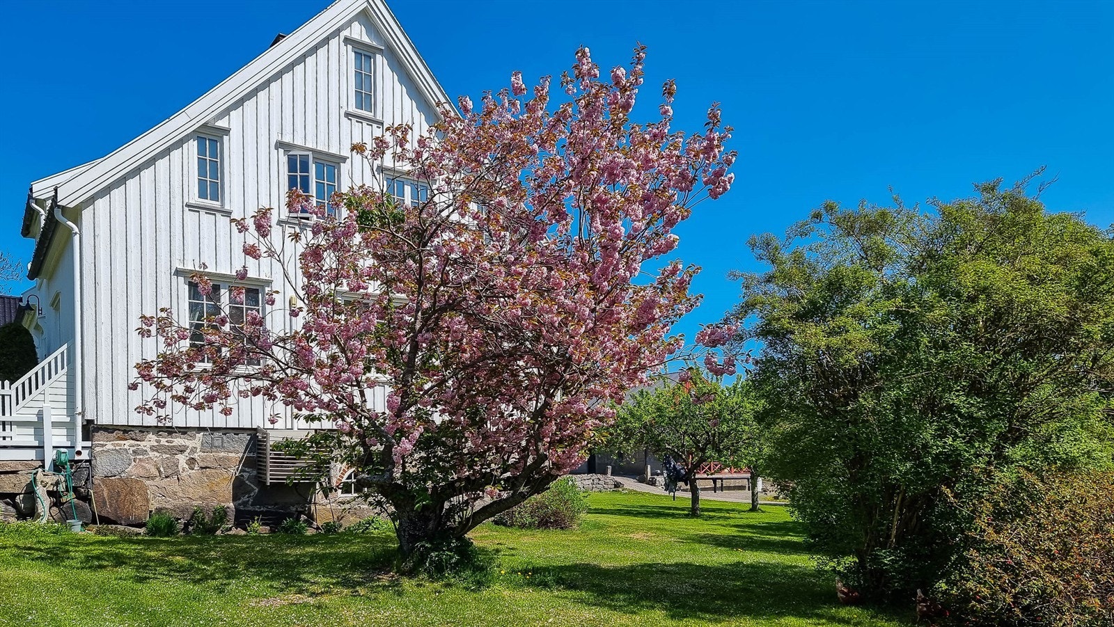 Lekre trær i flotte farger. (Privat foto) Galleribilde