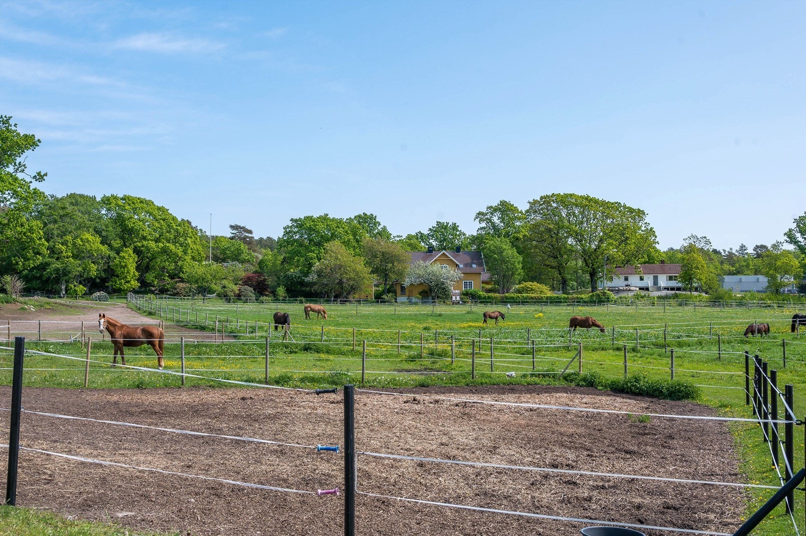 Tomten har store arealer som er flott tilrettelagt for hestehold. Galleribilde