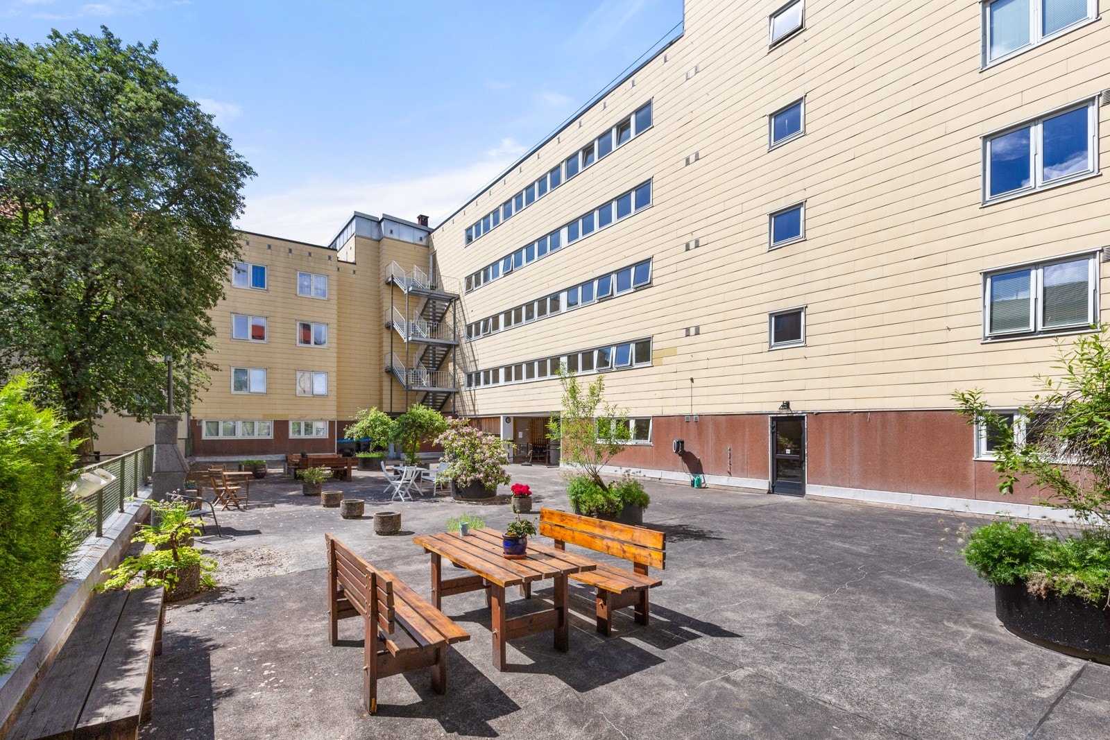 Bakgård. Galleribilde