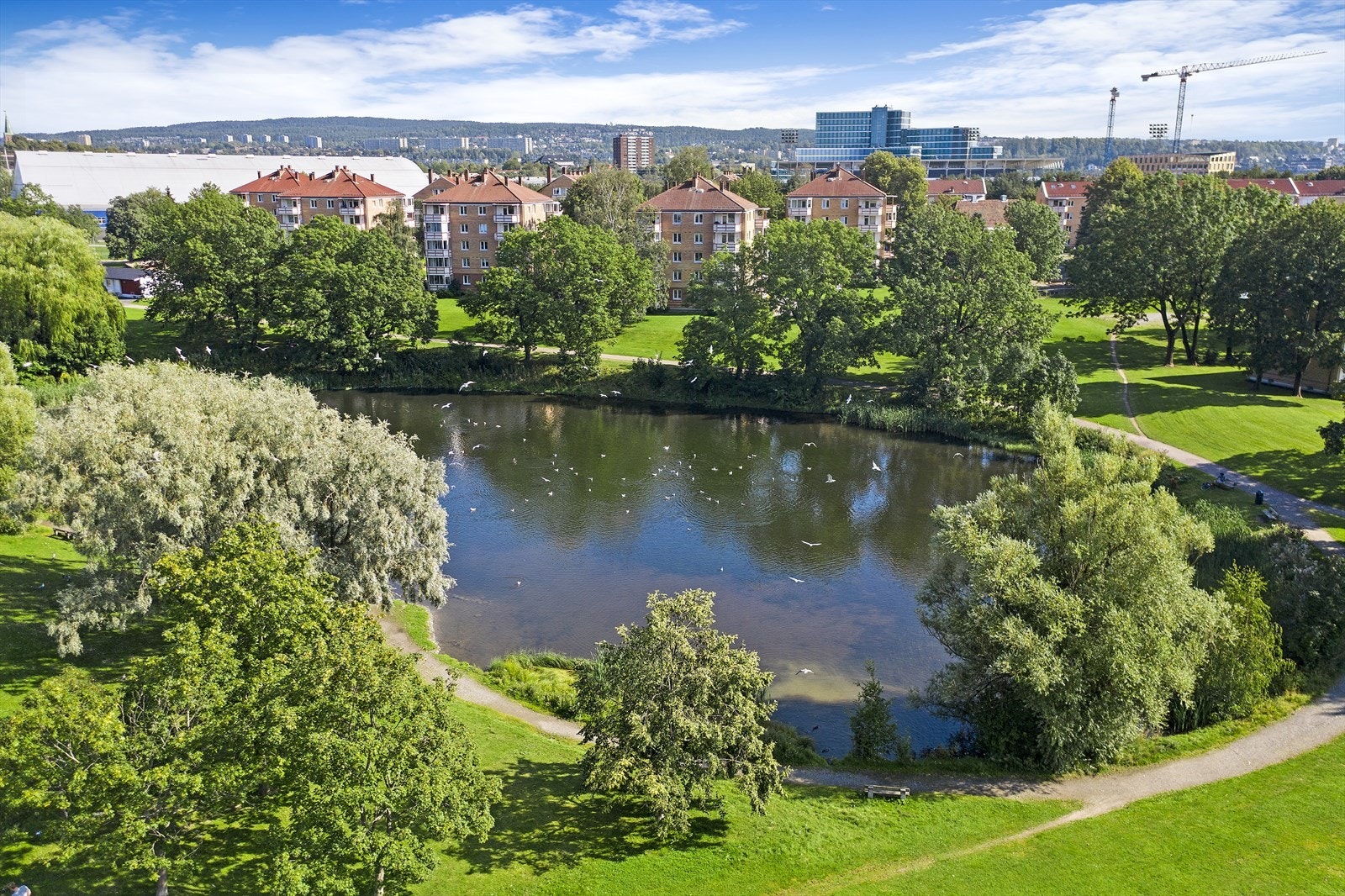 Andedammen på Hovin og de flotte grøntområdene rundt er et flott rekreasjonsområde både for store og små Galleribilde