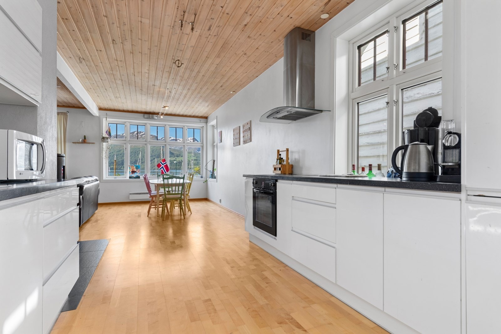 Flott utsikt over fjellene og fjorden Galleribilde