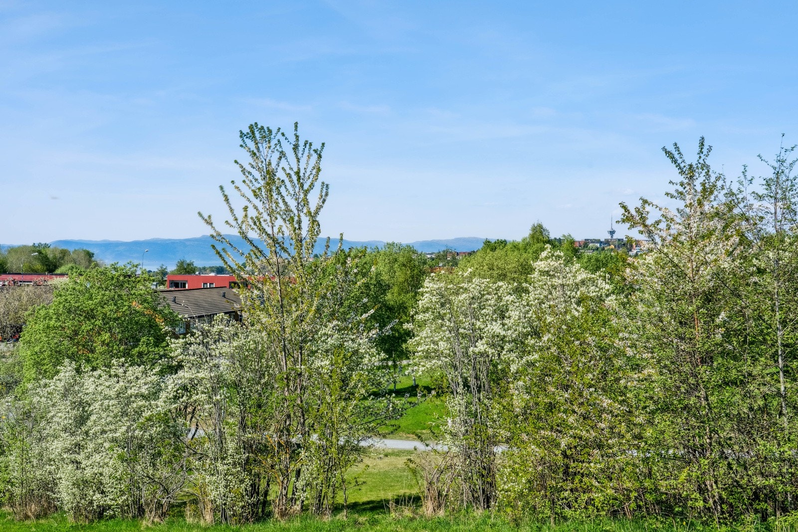 Balkongen er vendt mot borettslagets frodige grøntområder. Her kan man nyte fin utsikt og de fantastiske solforholdene i rolige omgivelser. Galleribilde