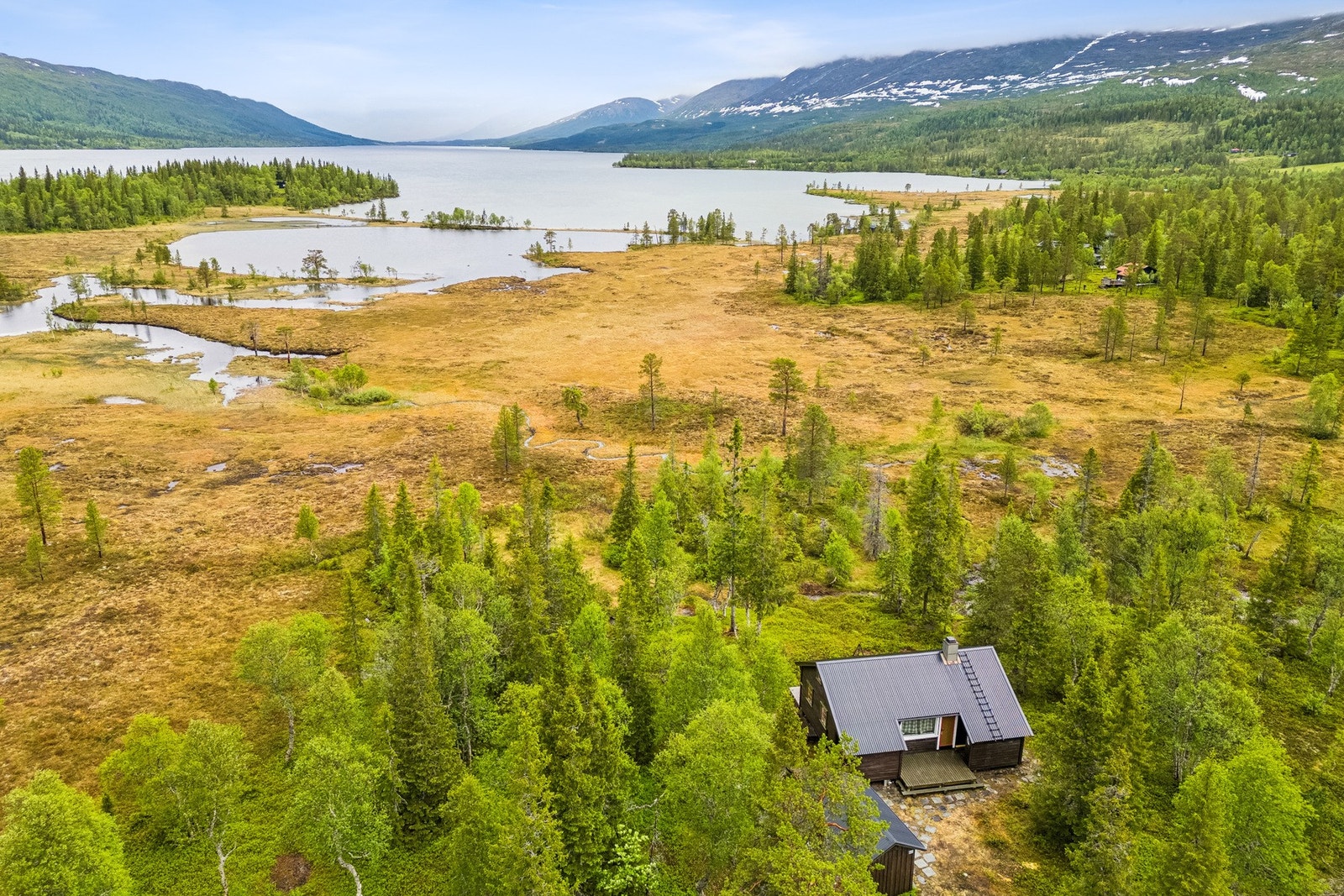 Velkommen til visning. Galleribilde