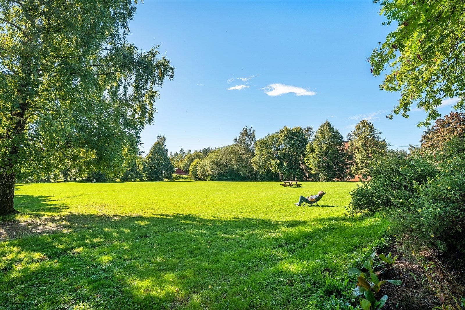 Område Galleribilde