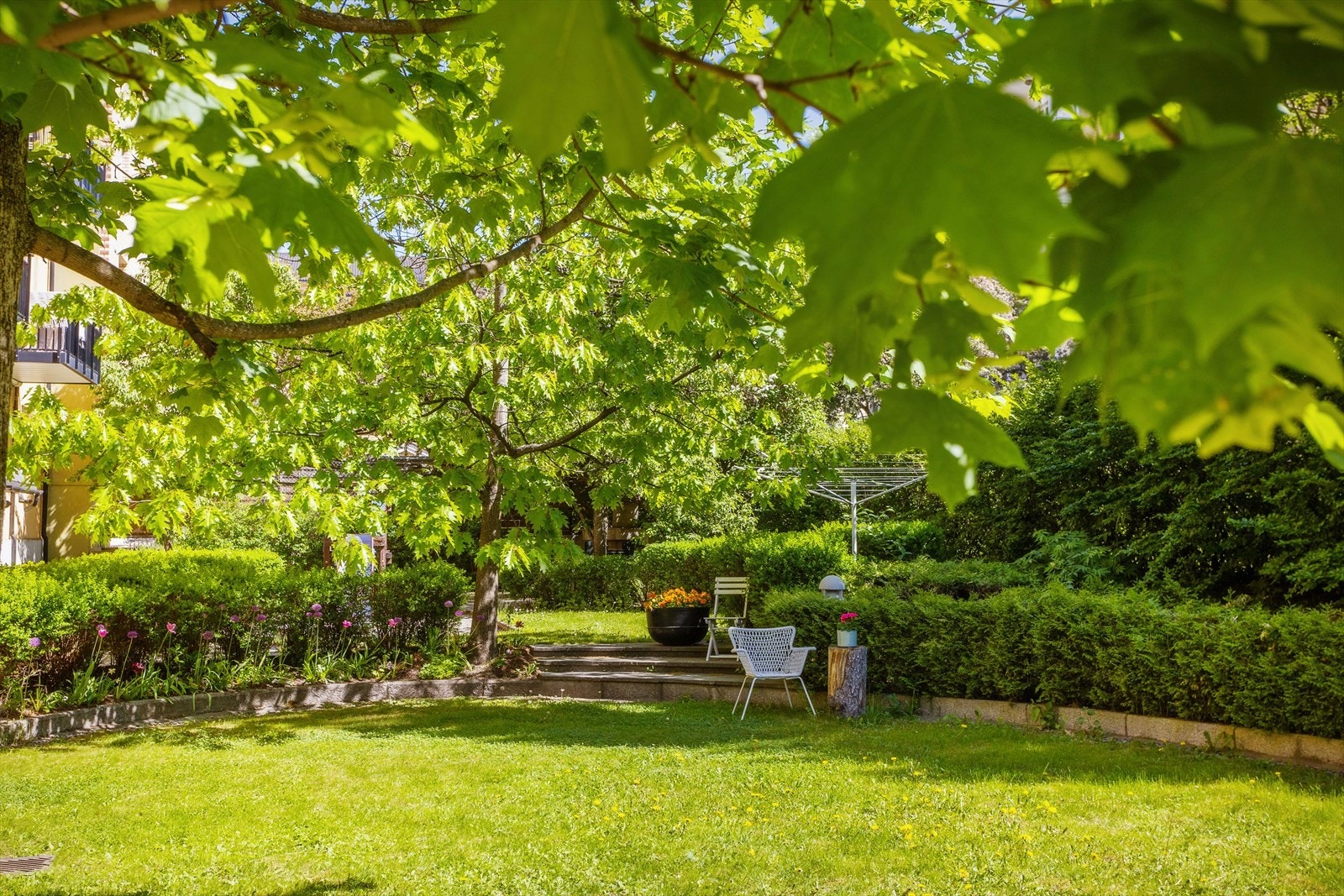 Bakgården er en avlukket oase med sittegrupper og flott beplantning Galleribilde