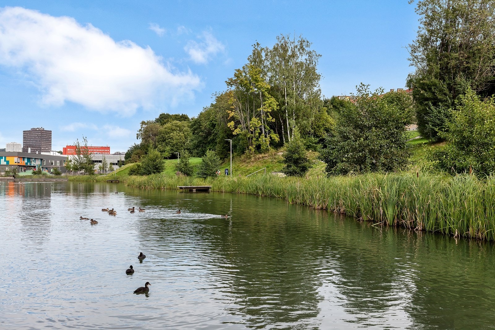 Teglverks dammen er i kort avstand fra leiligheten, her er det satt opp utegriller og sittebenker. Galleribilde