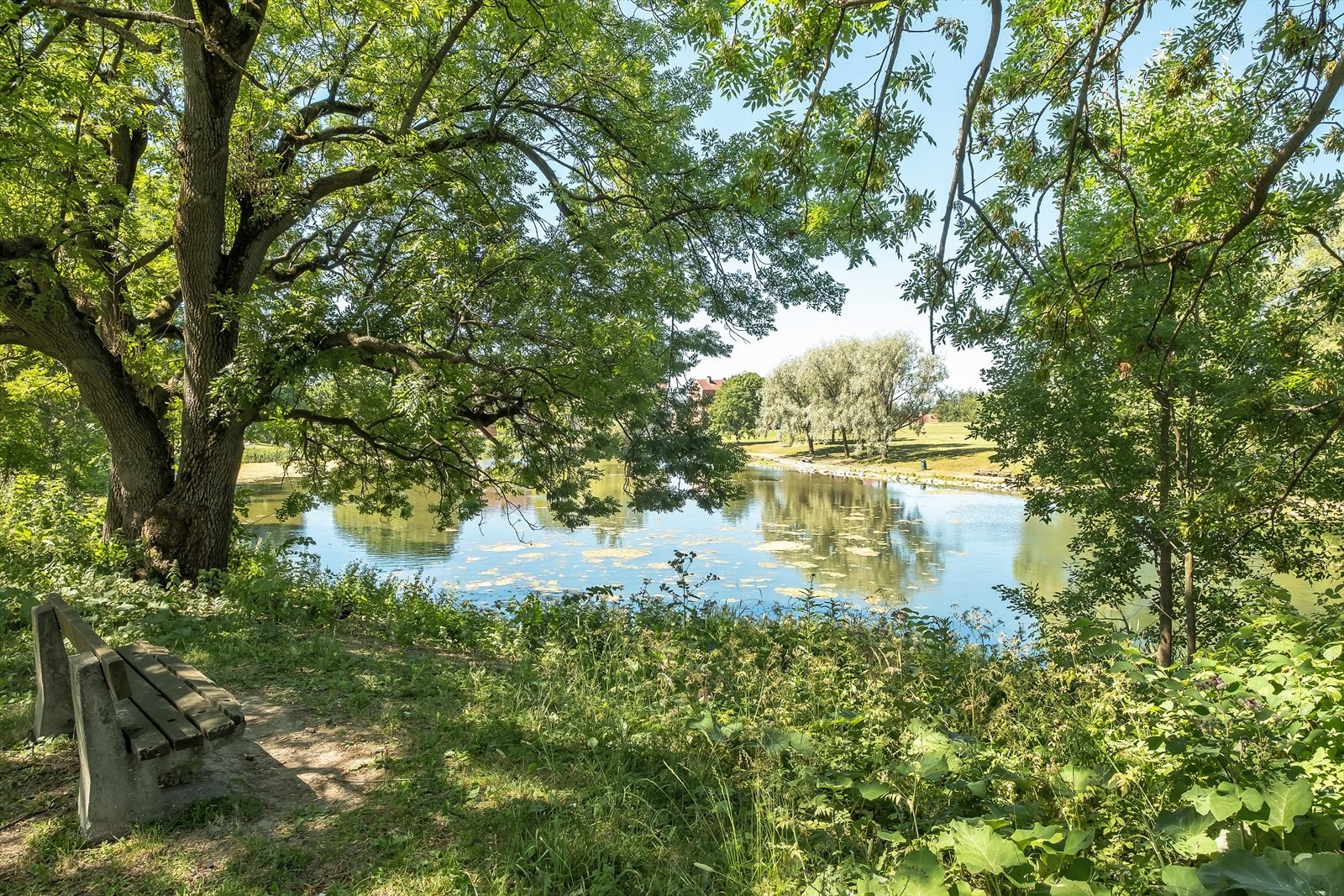 Hovin er i kort avstand fra leiligheten, her kan late sommerdager nytes! Galleribilde