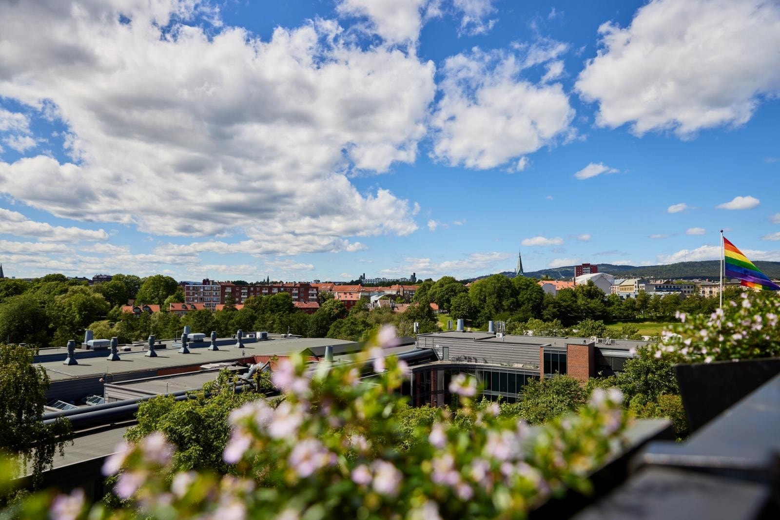 Hyggelig utsik fra balkongen.Fra balkongen ser man Myrens verksted med trening- og klatresenter. Galleribilde