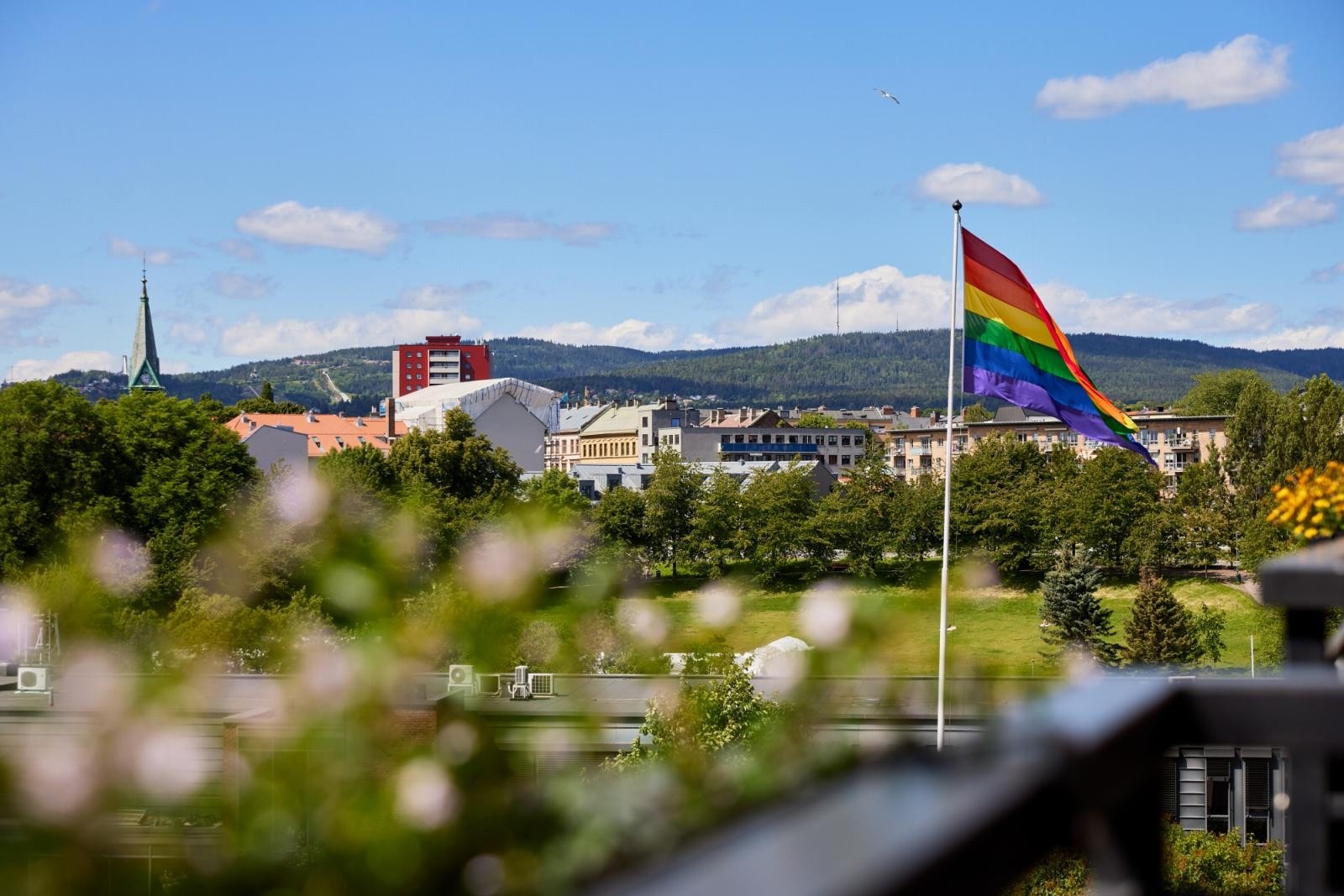 Utsikt til den svært koselige Myraløkka-parken ved Akerselva. Utsikten må oppleves! Galleribilde