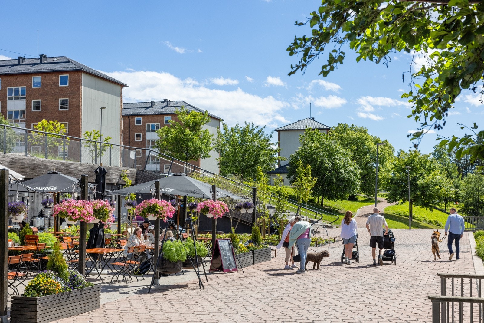 Velkommen til Paviljongen, den hyggelige bistroen i hjertet av parken! Galleribilde