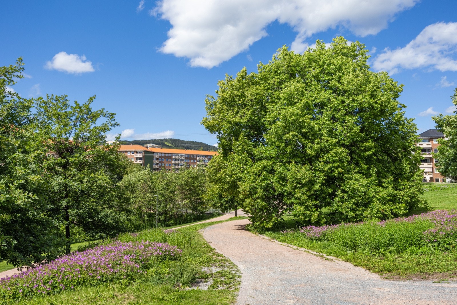 Leiligheten ligger rett ved idylliske Bjerkedalen Park! Galleribilde