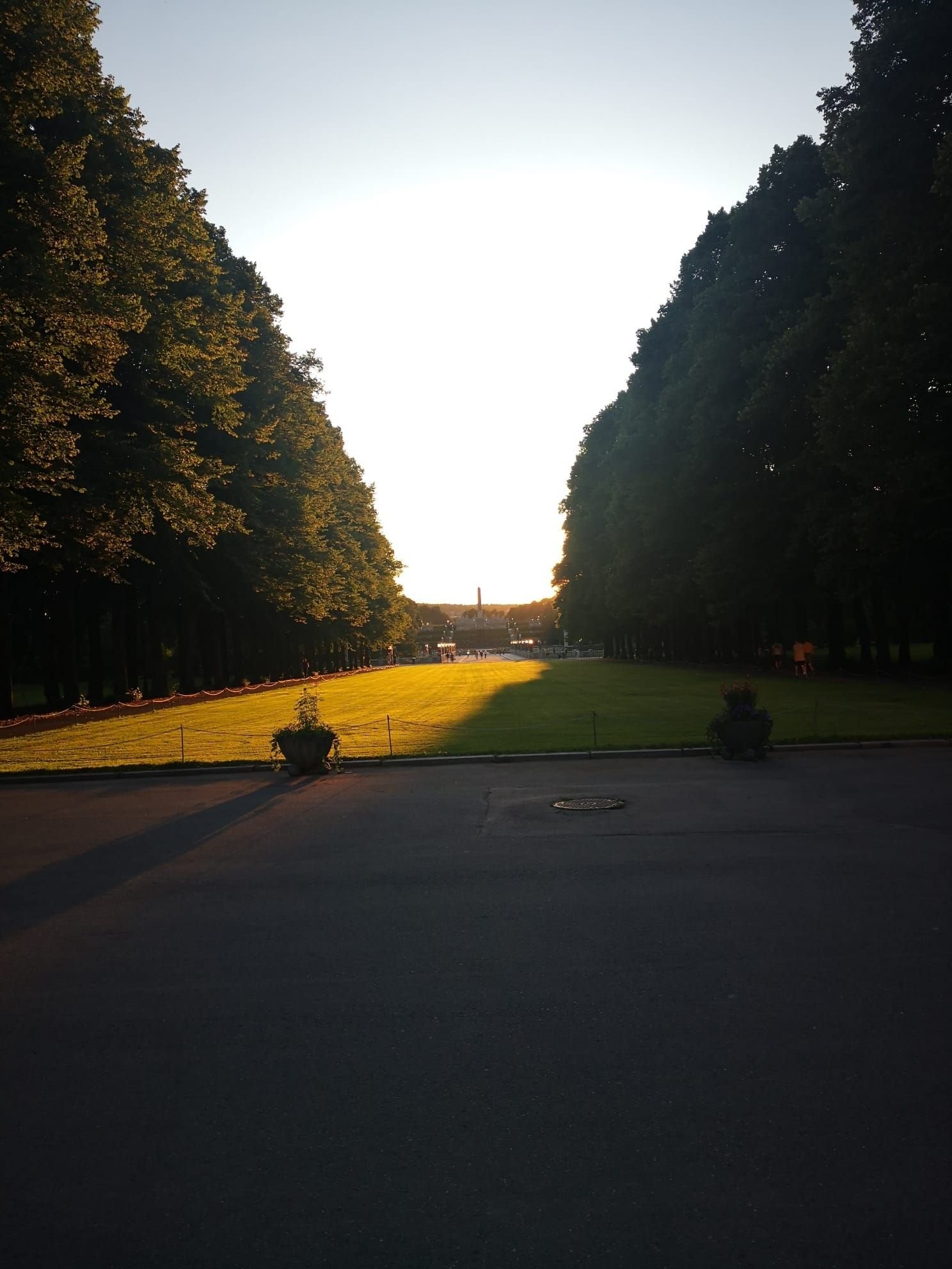 Selgers egne bilder (Frognerparken) Galleribilde