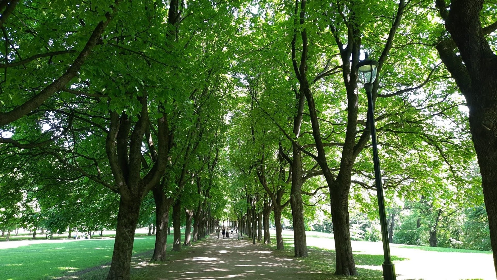 Selgers egne bilder (Frognerparken) Galleribilde