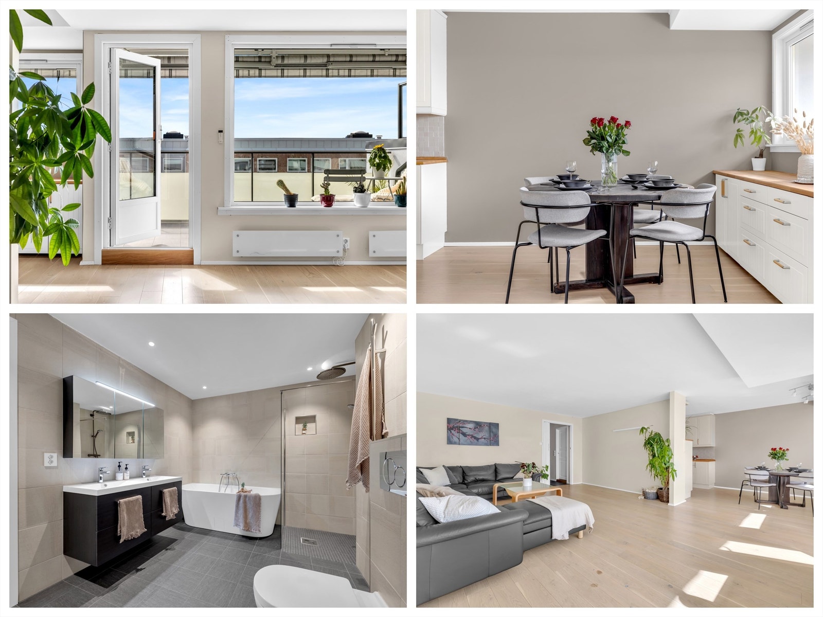 Velkommen til Elgtråkket 5D! Presentert av Anine Holter v/Krogsveen Lillestrøm Galleribilde