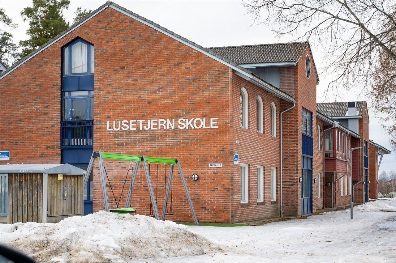 Boligen sogner til Lusetjern skole og Holmlia ungdomsskole. Galleribilde
