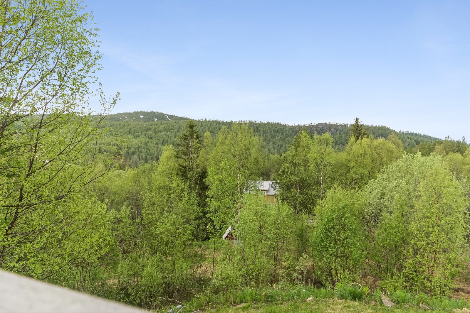 Uteområde Galleribilde