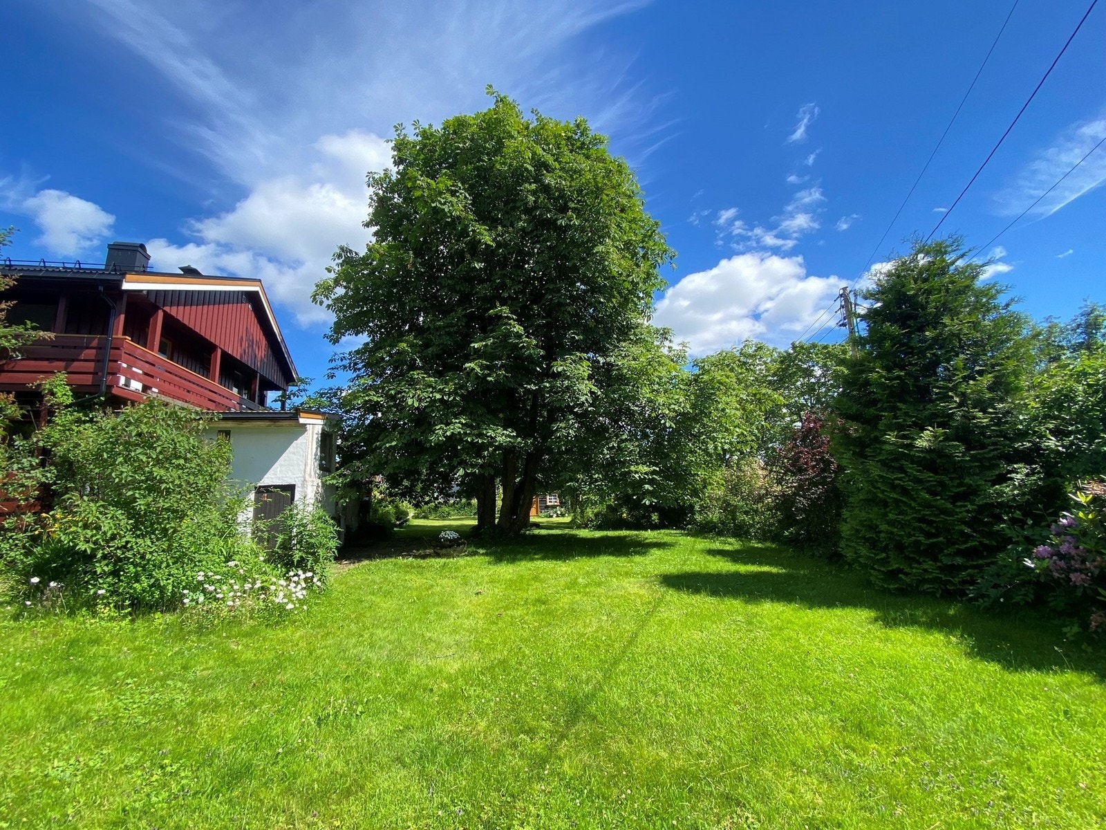 Flott gressplen for barna. Galleribilde