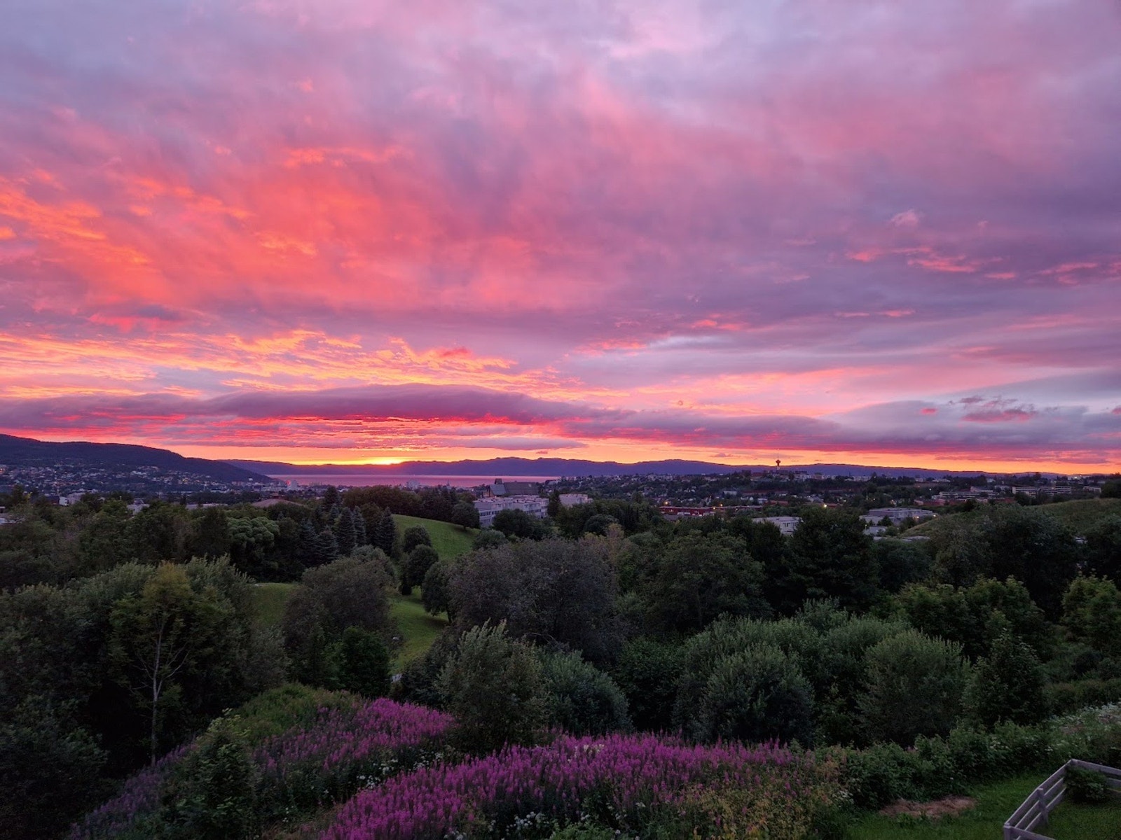 Se disse spektakulære fargene danse på himmelen, for en solnedgang! Bilde tatt av selger. Galleribilde