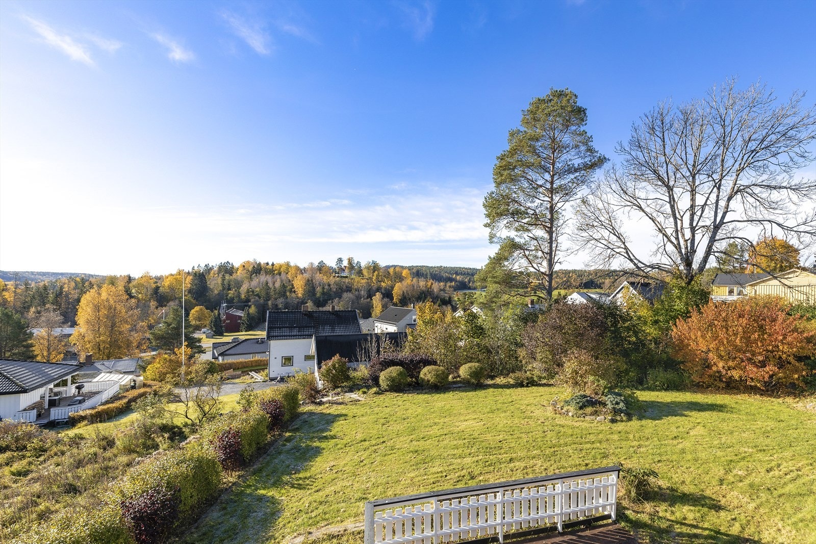 Pent opparbeidet hage med gressplen og beplantning. Galleribilde