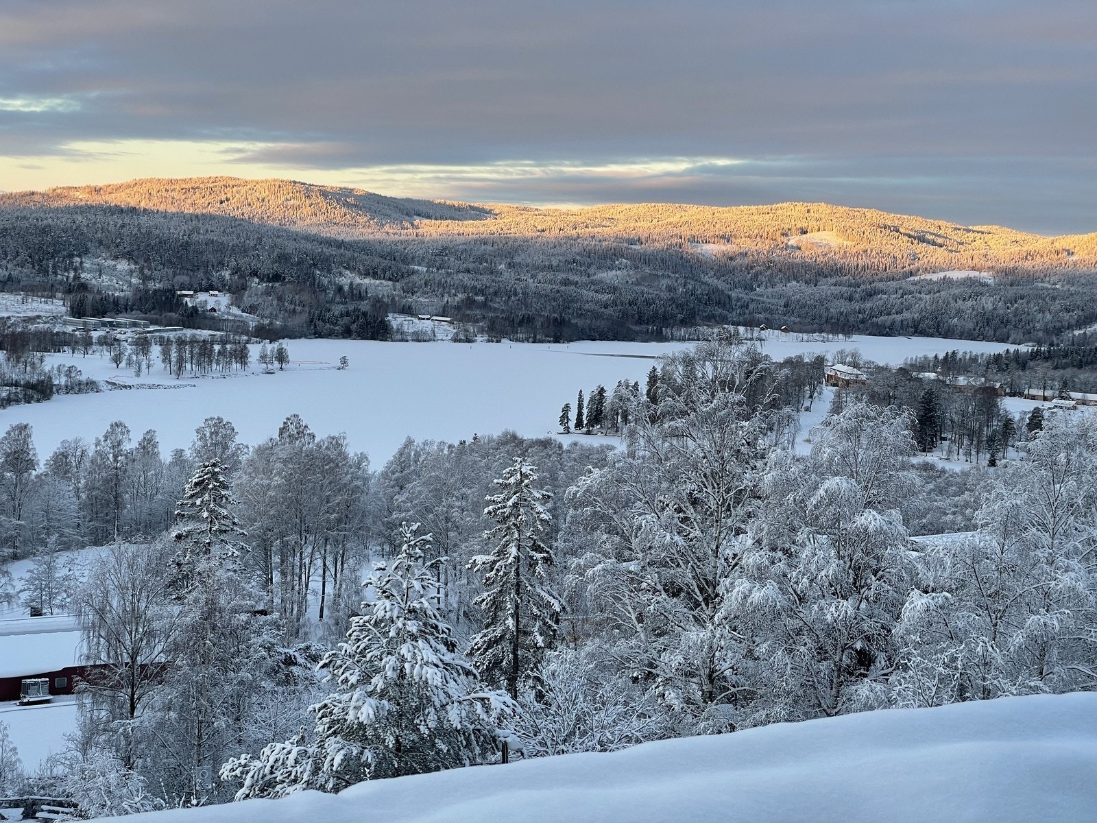 Vinter Galleribilde