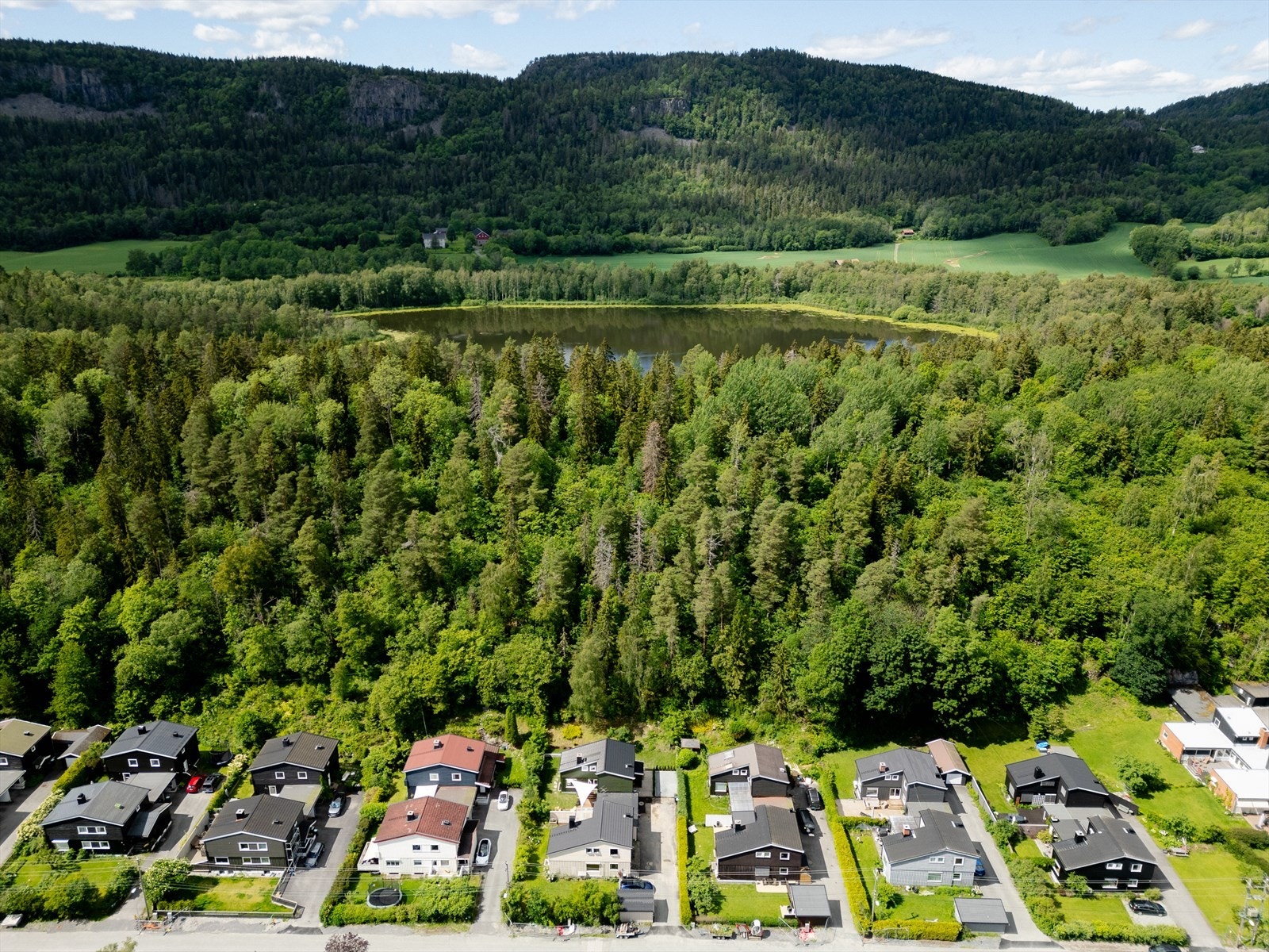 Nærområde Galleribilde