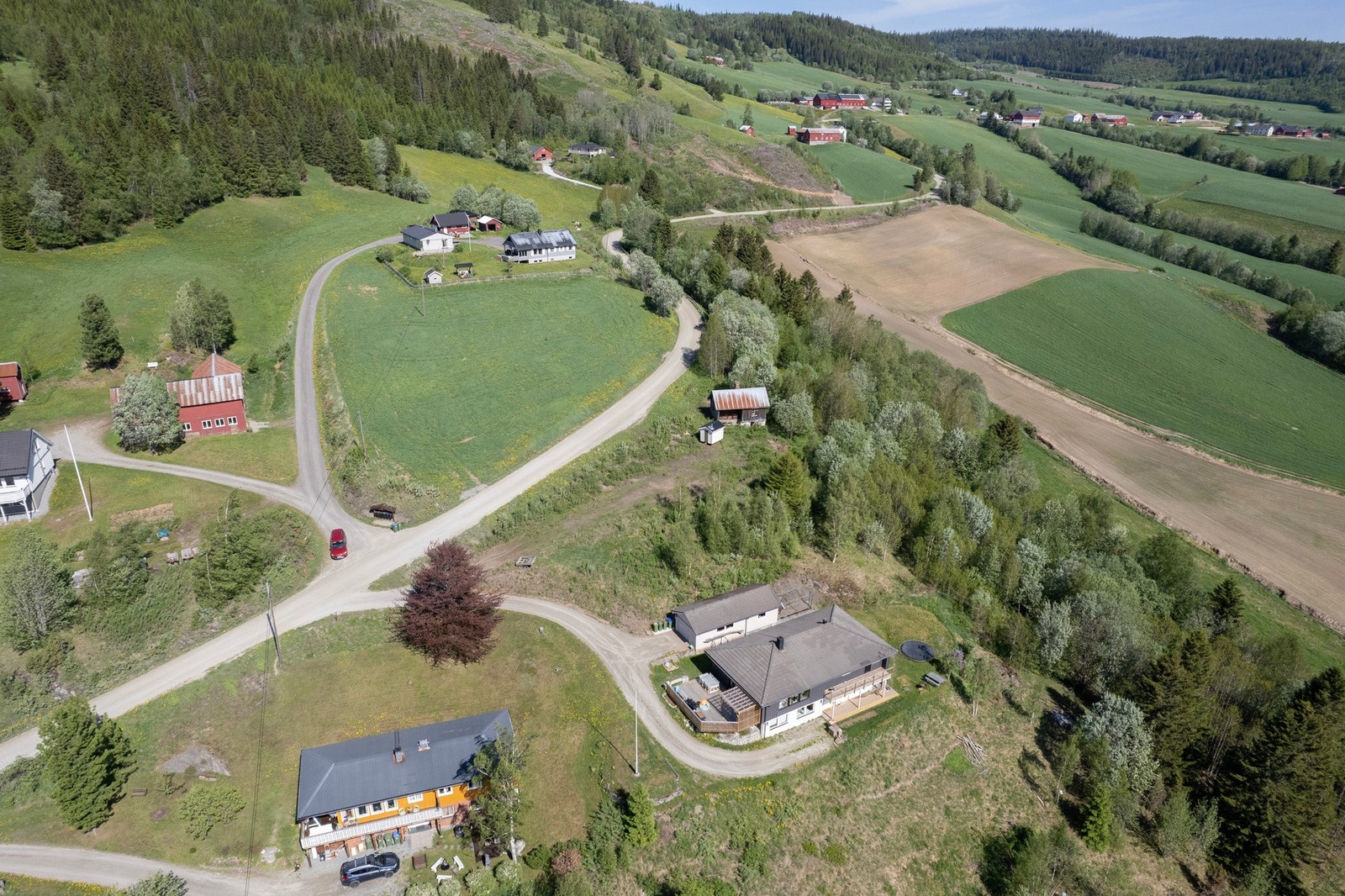 Skolebuss stopper like ved tomta. Galleribilde