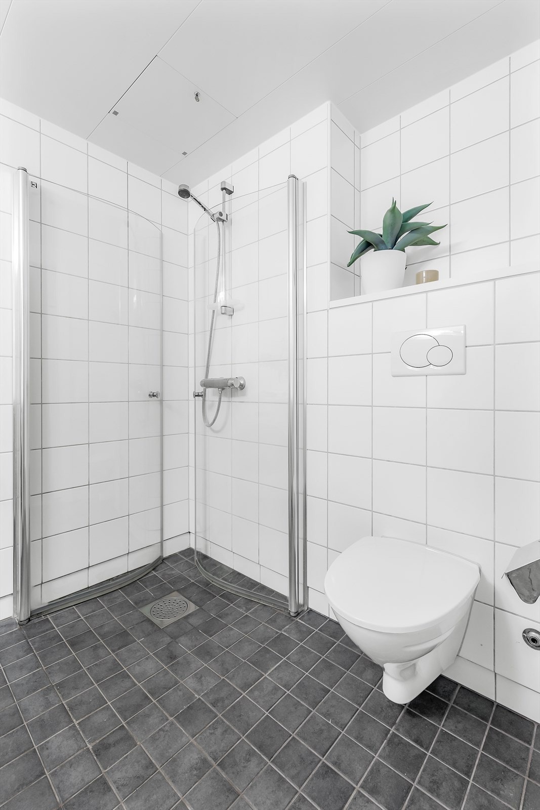 Hjørnedusj med glassdører Galleribilde