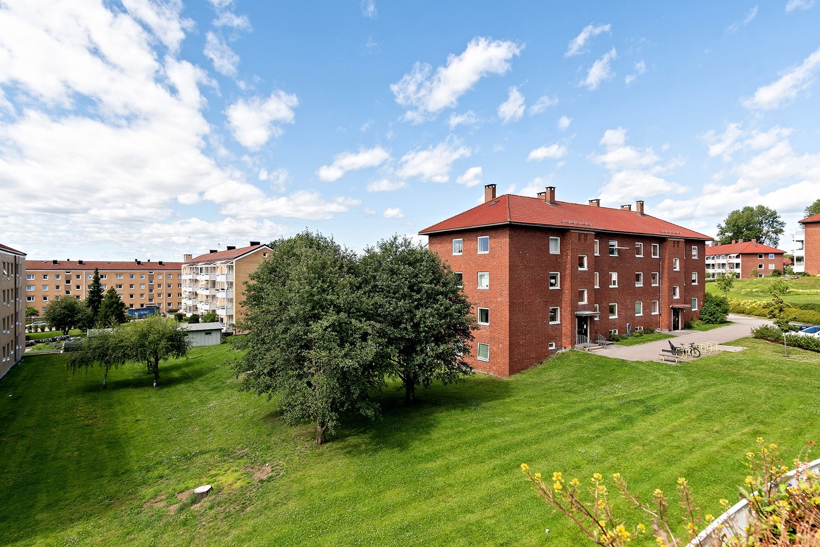 Hyggelig utsyn. Galleribilde