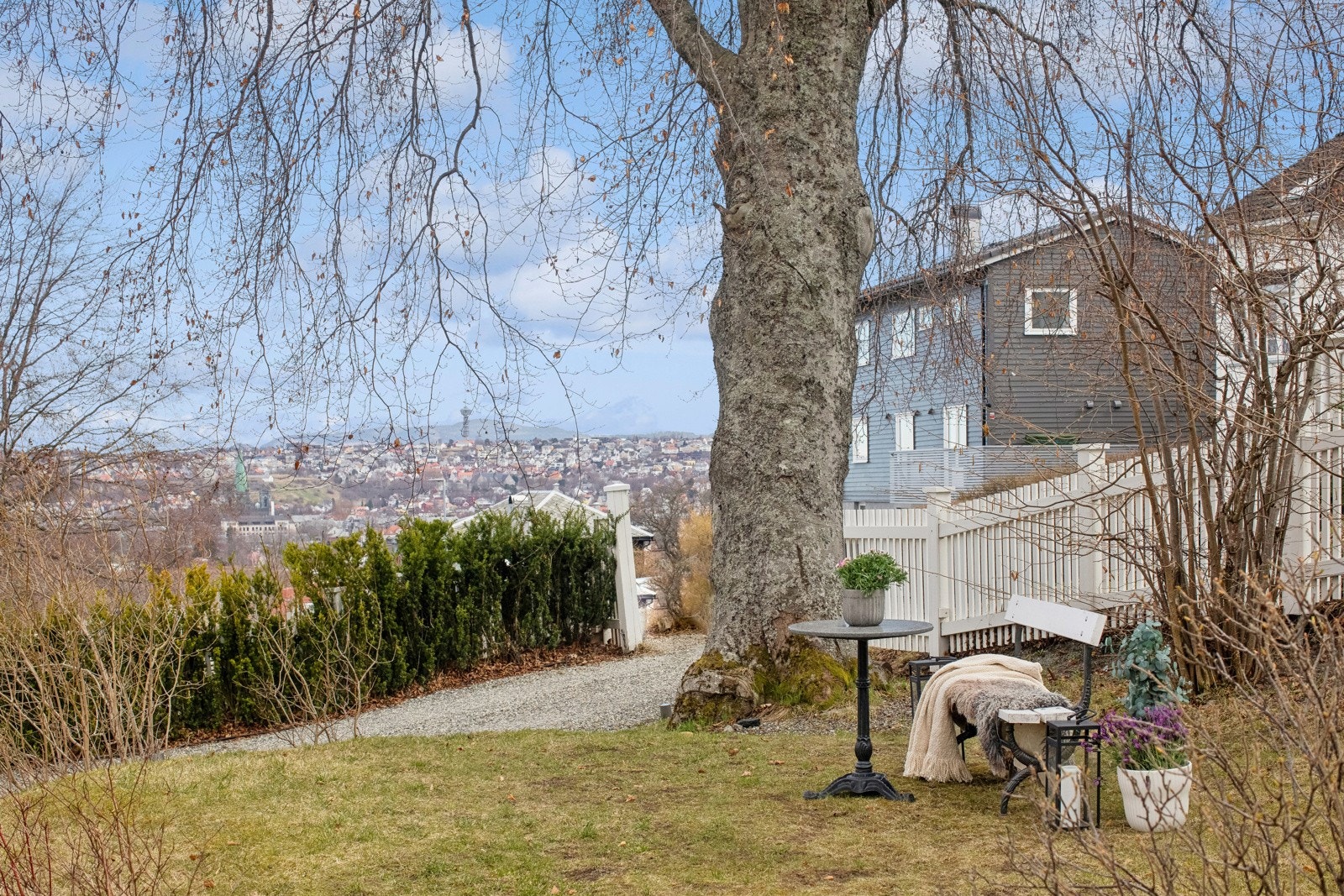Flott utsikt mot øst ved det store, gamle treet ved innkjørselen. Galleribilde