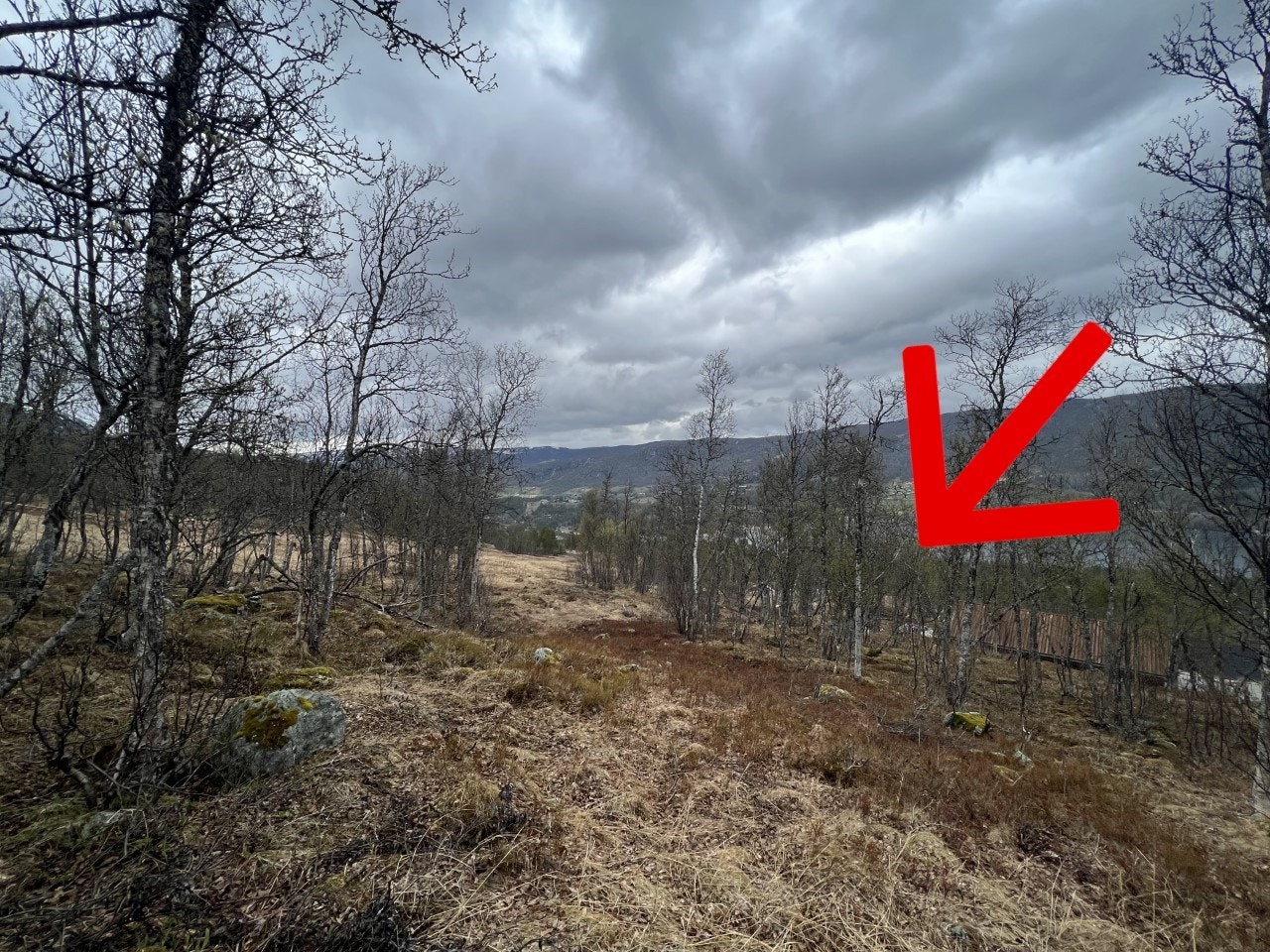 Her står man i traseen som tar deg til alpinanlegget - tomta ligger ned til høyre Galleribilde