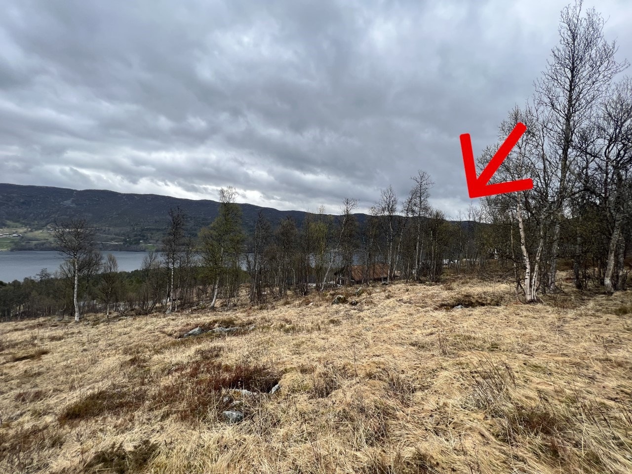 Fra slalåmbakken; utsikt mot innover mot tomta Galleribilde