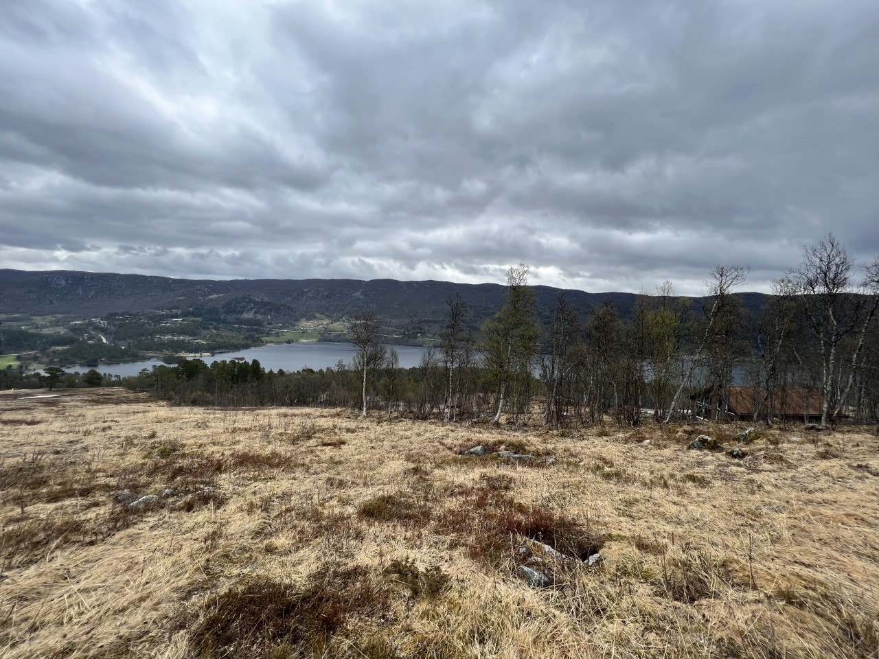 Utsikten fra slalåmbakken mot Sudndalsfjorden - tomta ligger inn til høyre i bildet Galleribilde