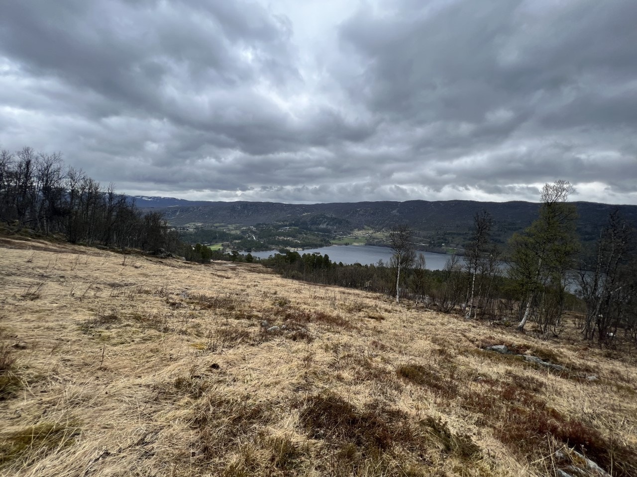 Slalåmbakken ligger kun få meter fra tomtegrensen Galleribilde