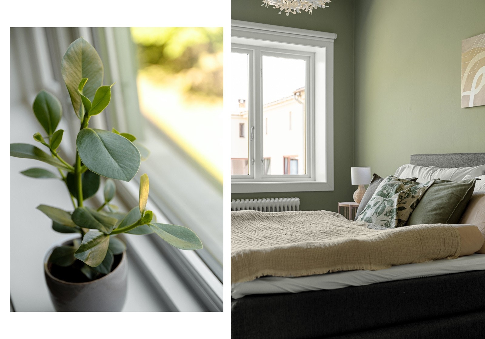 I likhet med kjøkkenet, kommer morgensolen inn i rommet. Galleribilde