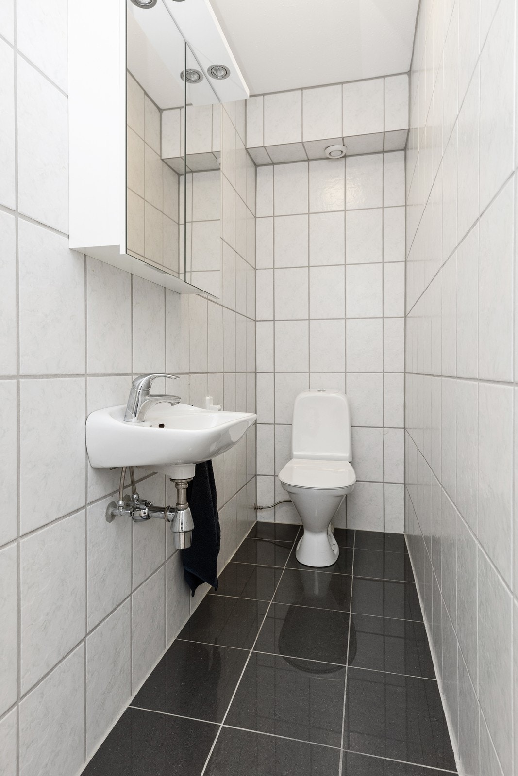 Wc. Galleribilde
